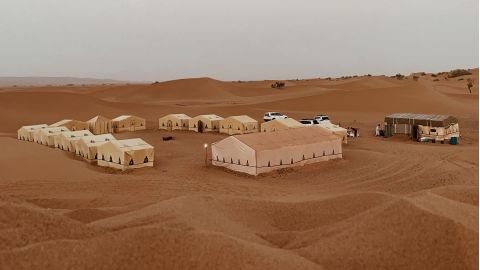 Numbers 35-36; Psalm 52